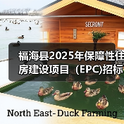 福海县2025年保障性住房建设项目（EPC)招标公告（图4）