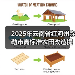 2025年云南省红河州弥勒市高标准农田改造提升项目（图1）
