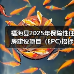 福海县2025年保障性住房建设项目（EPC)招标公告（图3）