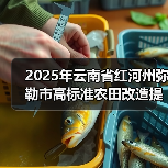 2025年云南省红河州弥勒市高标准农田改造提升项目（图3）