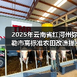 2025年云南省红河州弥勒市高标准农田改造提升项目（图4）