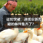 逆势突破,造纸业新周期的条件集齐了?(图1) 逆势突破,造纸业新周期的条件集齐了?(图1)