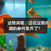 逆势突破,造纸业新周期的条件集齐了?(图3) 逆势突破,造纸业新周期的条件集齐了?(图3)