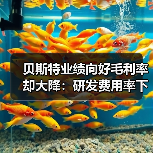 贝斯特业绩向好毛利率却大降:研发费用率下滑,持续分红上亿(图3) 贝斯特业绩向好毛利率却大降:研发费用率下滑,持续分红上亿(图3)