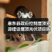 惠东县政府控制屋顶资源建设屋顶光伏项目施工招标公告(图4) 惠东县政府控制屋顶资源建设屋顶光伏项目施工招标公告(图4)