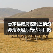 惠东县政府控制屋顶资源建设屋顶光伏项目施工招标公告(图2) 惠东县政府控制屋顶资源建设屋顶光伏项目施工招标公告(图2)