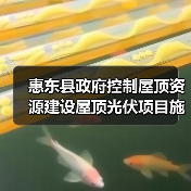 惠东县政府控制屋顶资源建设屋顶光伏项目施工招标公告(图1) 惠东县政府控制屋顶资源建设屋顶光伏项目施工招标公告(图1)