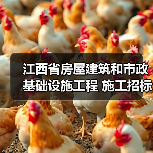 江西省房屋建筑和市政基础设施工程 施工招标公告 招标编号: 赣建吉井招字【2025】第07号(图3) 江西省房屋建筑和市政基础设施工程 施工招标公告 招标编号: 赣建吉井招字【2025】第07号(图3)