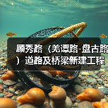 顾秀路(羌谭路-盘古路)道路及桥梁新建工程(图2) 顾秀路(羌谭路-盘古路)道路及桥梁新建工程(图2)