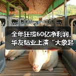 全年狂揽60亿净利润,华友钴业上演“大象起舞”(图1) 全年狂揽60亿净利润,华友钴业上演“大象起舞”(图1)