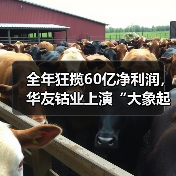 全年狂揽60亿净利润,华友钴业上演“大象起舞”(图3) 全年狂揽60亿净利润,华友钴业上演“大象起舞”(图3)