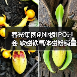 春光集团创业板IPO过会 软磁铁氧体磁粉销量居国内首位丨A股融资快报(图3) 春光集团创业板IPO过会 软磁铁氧体磁粉销量居国内首位丨A股融资快报(图3)