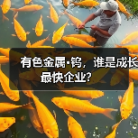 有色金属·钨,谁是成长最快企业?(图1) 有色金属·钨,谁是成长最快企业?(图1)