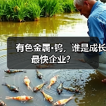 有色金属·钨,谁是成长最快企业?(图4) 有色金属·钨,谁是成长最快企业?(图4)