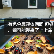 有色金属整体回调 但铜、铝可能迎来了“上车”良机(图2) 有色金属整体回调 但铜、铝可能迎来了“上车”良机(图2)