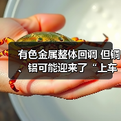 有色金属整体回调 但铜、铝可能迎来了“上车”良机(图4) 有色金属整体回调 但铜、铝可能迎来了“上车”良机(图4)