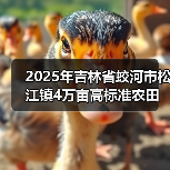 2025年吉林省蛟河市松江镇4万亩高标准农田建设项目五标段(图2) 2025年吉林省蛟河市松江镇4万亩高标准农田建设项目五标段(图2)