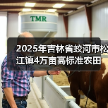 2025年吉林省蛟河市松江镇4万亩高标准农田建设项目五标段(图1) 2025年吉林省蛟河市松江镇4万亩高标准农田建设项目五标段(图1)