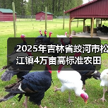 2025年吉林省蛟河市松江镇4万亩高标准农田建设项目五标段(图4) 2025年吉林省蛟河市松江镇4万亩高标准农田建设项目五标段(图4)