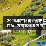 2025年吉林省蛟河市松江镇4万亩高标准农田建设项目五标段(图3) 2025年吉林省蛟河市松江镇4万亩高标准农田建设项目五标段(图3)