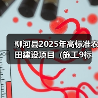 柳河县2025年高标准农田建设项目(施工9标段、施工10标段)招标公告(图3) 柳河县2025年高标准农田建设项目(施工9标段、施工10标段)招标公告(图3)