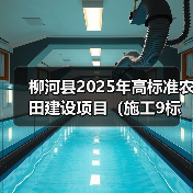 柳河县2025年高标准农田建设项目(施工9标段、施工10标段)招标公告(图1) 柳河县2025年高标准农田建设项目(施工9标段、施工10标段)招标公告(图1)