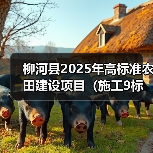 柳河县2025年高标准农田建设项目(施工9标段、施工10标段)招标公告(图2) 柳河县2025年高标准农田建设项目(施工9标段、施工10标段)招标公告(图2)