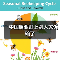 中国铝业盯上别人家饭碗了(图2) 中国铝业盯上别人家饭碗了(图2)
