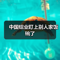 中国铝业盯上别人家饭碗了(图3) 中国铝业盯上别人家饭碗了(图3)