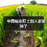 中国铝业盯上别人家饭碗了(图4) 中国铝业盯上别人家饭碗了(图4)