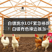 白银跳水LOF紧急停牌!白银有色擦边暴涨一个月(图4) 白银跳水LOF紧急停牌!白银有色擦边暴涨一个月(图4)
