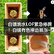 白银跳水LOF紧急停牌!白银有色擦边暴涨一个月(图3) 白银跳水LOF紧急停牌!白银有色擦边暴涨一个月(图3)