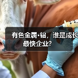 有色金属·铝,谁是成长最快企业?(图2) 有色金属·铝,谁是成长最快企业?(图2)
