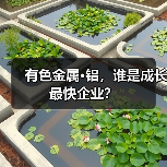 有色金属·铝,谁是成长最快企业?(图3) 有色金属·铝,谁是成长最快企业?(图3)