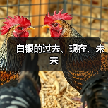 白银的过去、现在、未来(图3) 白银的过去、现在、未来(图3)