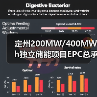 定州200MW/400MWh独立储能项目EPC总承包 招标公告编号： I1300000001139271001001 来源平台： [平台内] 公告发布日期：2025-10-20（图2）