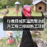 行唐县城区道路整治提升工程二标段施工项目(01标段(包))招标公告(图2) 行唐县城区道路整治提升工程二标段施工项目(01标段(包))招标公告(图2)