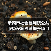 承德市社会福利院公共服务设施改造提升项目(图4) 承德市社会福利院公共服务设施改造提升项目(图4)