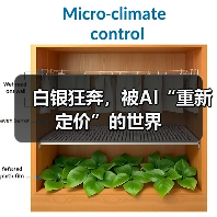 白银狂奔,被AI“重新定价”的世界(图2) 白银狂奔,被AI“重新定价”的世界(图2)