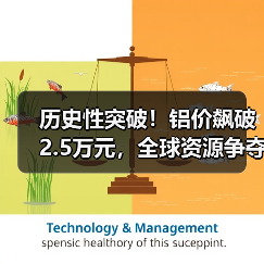 历史性突破!铝价飙破2.5万元,全球资源争夺战白热化(图3) 历史性突破!铝价飙破2.5万元,全球资源争夺战白热化(图3)