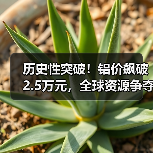 历史性突破!铝价飙破2.5万元,全球资源争夺战白热化(图4) 历史性突破!铝价飙破2.5万元,全球资源争夺战白热化(图4)