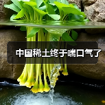 中国稀土终于喘口气了(图3) 中国稀土终于喘口气了(图3)