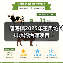 唐海镇2025年王凤坨村排水沟治理项目（图4）