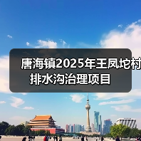 唐海镇2025年王凤坨村排水沟治理项目（图1）