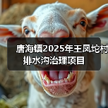 唐海镇2025年王凤坨村排水沟治理项目（图2）