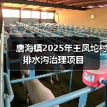 唐海镇2025年王凤坨村排水沟治理项目（图3）