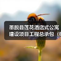 墨脱县莲花酒店式公寓建设项目工程总承包（EPC）招标公告（图4）