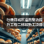 行唐县城区道路整治提升工程二标段施工项目(01标段(包))招标公告(图2) 行唐县城区道路整治提升工程二标段施工项目(01标段(包))招标公告(图2)