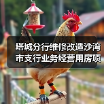 塔城分行维修改造沙湾市支行业务经营用房项目（图4）
