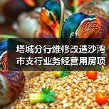 塔城分行维修改造沙湾市支行业务经营用房项目（图1）